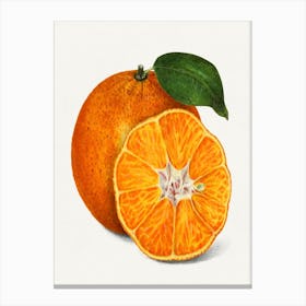 Oranges 1 Canvas Print