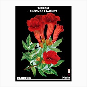 Flower Market Night Mexico City Vintage Botanical Canvas Print