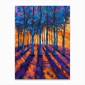 Sunset In The Woods 5 Canvas Print