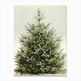 Christmas Tree Canvas Print