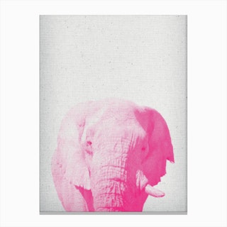 Elephant II Canvas Print