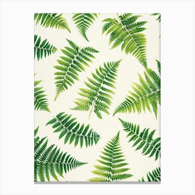 Pattern Poster Rabbits Foot Fern 2 Canvas Print