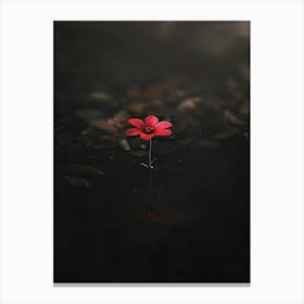 Dark Flower 29 Canvas Print