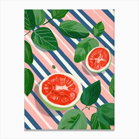 Guava Fruit Summer Illustration 4 Canvas Print