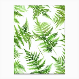 Pattern Poster Asparagus Fern 4 Canvas Print