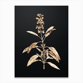 Gold Botanical Sage Plant on Wrought Iron Black Canvas Print