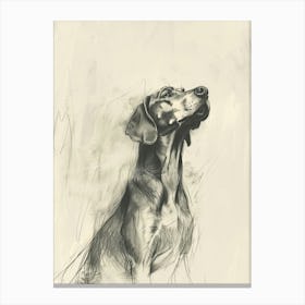 Hound Dog Charcoal Line Canvas Print