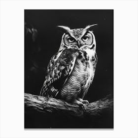 African Scops Owl Charcoal Drawing 1 Canvas Print