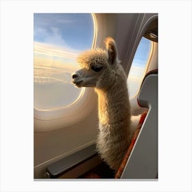 Llama On A Plane Canvas Print