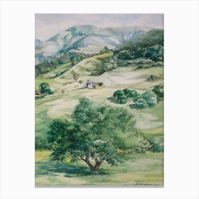 A Green Tree On A Mountain Slope Canvas Print