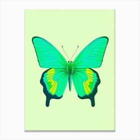 Pop Art Green Hairstreak Butterfly 4 Canvas Print
