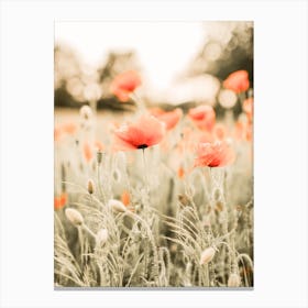 Poppy Meadow Scenery Canvas Print