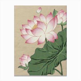 Lotus Flower 6 Canvas Print