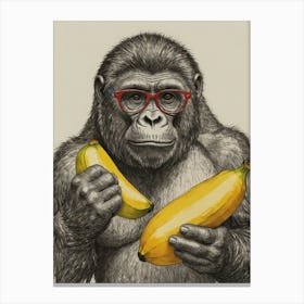 Gorilla With Glasses Canvas Print