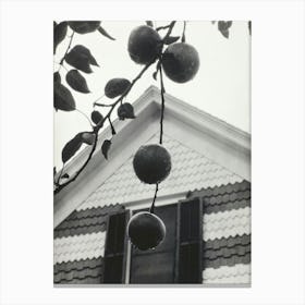 Gable And Apples (1922), Alfred Stieglitz Canvas Print