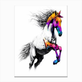 Horse Wild Tribal Illustration Art 09 Canvas Print