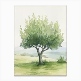 Olive Tree Atmospheric Watercolour Painting 3 Canvas Print