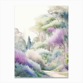 Adelaide Hills  Mount Lofty Botanic Garden, Australia Pastel Watercolour Canvas Print