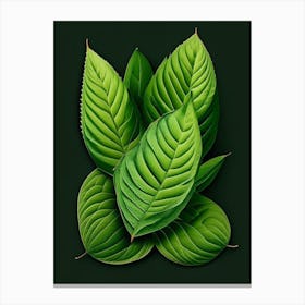 Pineapple Sage Leaf Vibrant Inspired Canvas Print