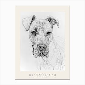 Dogo Argentino Dog Line Sketch 3 Poster Canvas Print