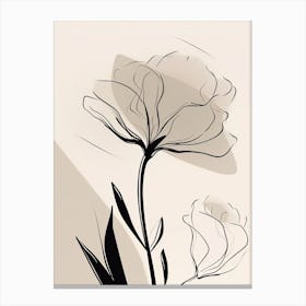 Gladioli Line Art Flowers Illustration Neutral 11 Canvas Print