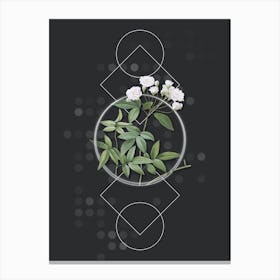 Vintage Lady Bank's Rose Botanical with Geometric Line Motif and Dot Pattern n.0169 Canvas Print