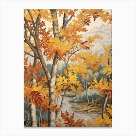 European White Birch 2 Vintage Autumn Tree Print  Canvas Print