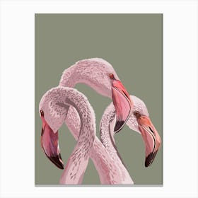 Pink Flamingo Ilustration Canvas Print