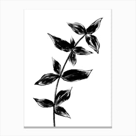 Black Plant Two Canvas Print
