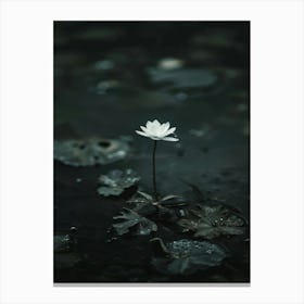 Lotus Flower 30 Canvas Print