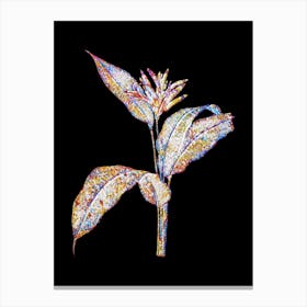 Stained Glass Lobster Claws Mosaic Botanical Illustration on Black n.0063 Canvas Print