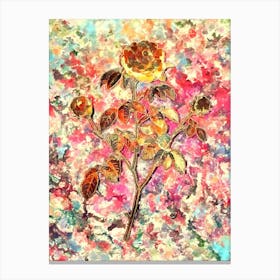 Impressionist Agatha Rose in Bloom Botanical Painting in Blush Pink and Gold Canvas Print