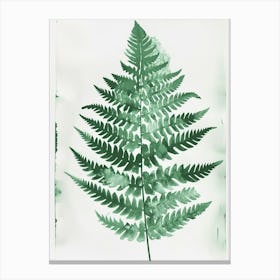 Green Ink Painting Of A Sensitive Fern 1 Canvas Print