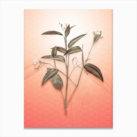 Maranta Arundinacea Vintage Botanical in Peach Fuzz Seigaiha Wave Pattern n.0183 Canvas Print