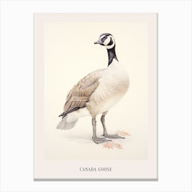 Vintage Bird Drawing Canada Goose 2 Poster Canvas Print