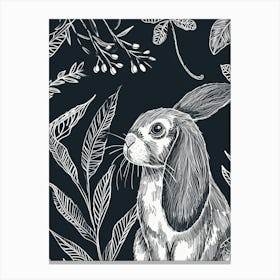 Mini Lop Rabbit Minimalist Illustration 1 Canvas Print