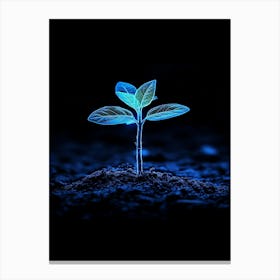 Plant In The Dark 18 Canvas Print