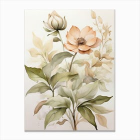 Anemones Canvas Print