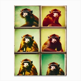 Monkey Collage Canvas Print