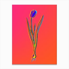 Neon Lady Tulip Botanical in Hot Pink and Electric Blue n.0484 Canvas Print