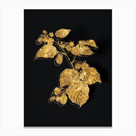 Vintage Raspberry Botanical in Gold on Black n.0352 Canvas Print