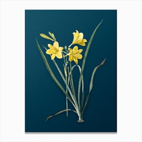 Vintage Daylily Botanical Art on Teal Blue n.0178 Canvas Print