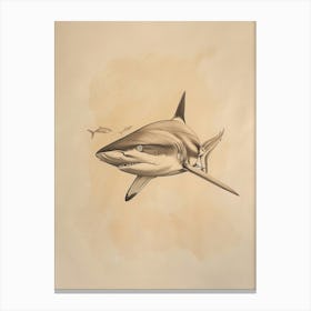 White Tip Reef Shark Vintage Illustration 3 Canvas Print