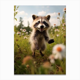 Cute Funny Cozumel Raccoon Running On A Field Wild 3 Canvas Print