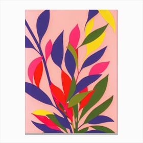 Beauty Bush Colourful Illustration Plant Canvas Print