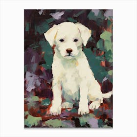 A Bichon Frise Dog Painting, Impressionist 1 Canvas Print
