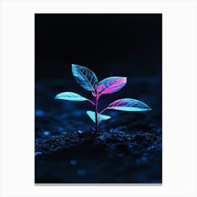 Plant Growing In The Dark 10 Canvas Print