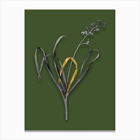 Vintage Dutch Hyacinth Black and White Gold Leaf Floral Art on Olive Green n.0510 Canvas Print