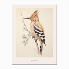 Vintage Bird Drawing Hoopoe 2 Poster Canvas Print