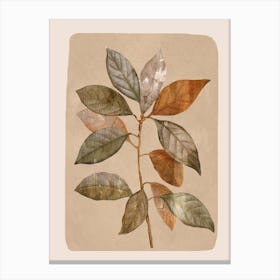 Abstract Minimal Plant Leaf 2 Canvas Print